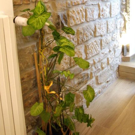 Il Casale Del Borgo Bed & Breakfast Cancellara Dış mekan fotoğraf